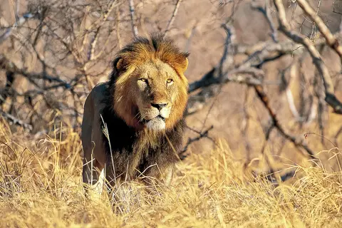 The Guys Photography - © www.theguys.co.za