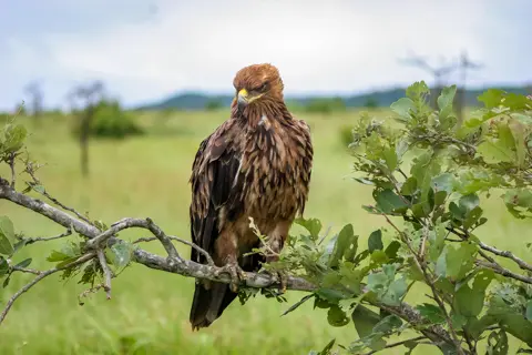 The Guys Photography - © www.theguys.co.za